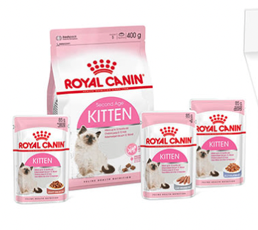 Gratis Royal Canin Kittenbox cadeau bij ZooPlus